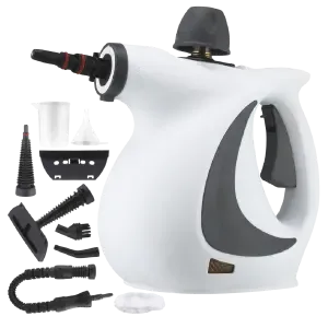 One Qinux Vapoxis steam cleaner with attachments