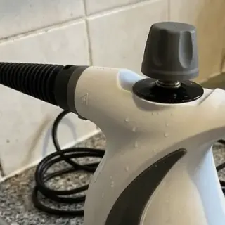 Customer photo shared by Helen, a Qinux Vapoxis owner