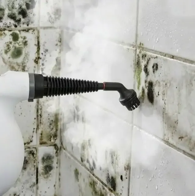 Qinux Vapoxis steam nozzle cleaning mold from bathroom shower tiles